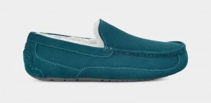 Blue Men's Ugg Ascot Slippers | India-3872045