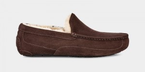 Brown Men's Ugg Ascot Slippers | India-1027843