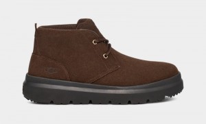 Brown Men's Ugg Burleigh Chukka Sneakers | India-5619407