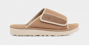 Brown Men's Ugg Goldencoast Slides | India-5328476