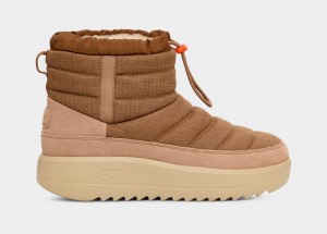 Brown Men's Ugg Maxxer Mini Boots | India-0983427