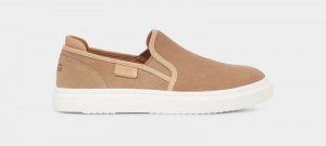 Brown Women's Ugg Alameda Slip On Suede Sneakers | India-6405937