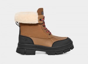 Brown Women's Ugg Ashton Addie Winter Boots | India-8256410