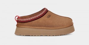 Brown Women's Ugg Tazz Clogs | India-9123068