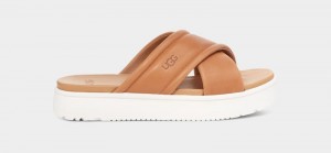 Brown Women's Ugg Zayne Crossband Slides | India-5693218