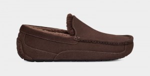 Deep Brown Men's Ugg Ascot Slippers | India-7109824