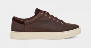 Deep Brown Men's Ugg Baysider Low Weather Sneakers | India-8905463