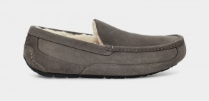 Grey Men's Ugg Ascot Slippers | India-6754082