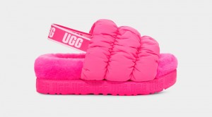 Pink Women's Ugg Scrunchita Slippers | India-8251063