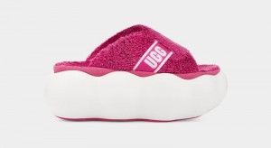 Pink Women's Ugg Sugarcloud Slides | India-9071325