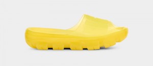 Yellow Women's Ugg Jella Clear Slides | India-4680519