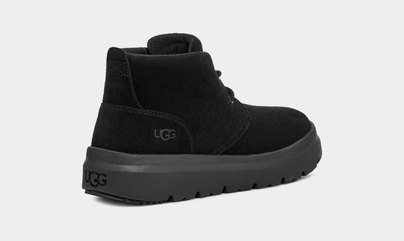 Black Men's Ugg Burleigh Chukka Sneakers | India-2853109