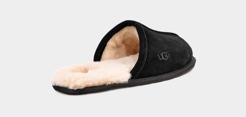 Black Men's Ugg Scuff Slippers | India-8920537