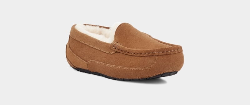 Brown Kids' Ugg Ascot Slippers | India-9523140