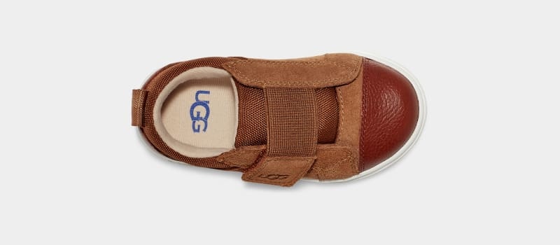 Brown Kids' Ugg Rennon Low Sneakers | India-8061327