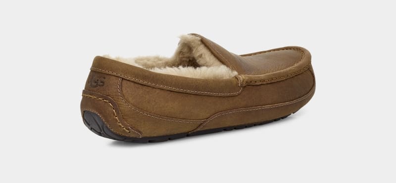 Brown Men's Ugg Ascot Matte Leather Moccasins | India-9208761