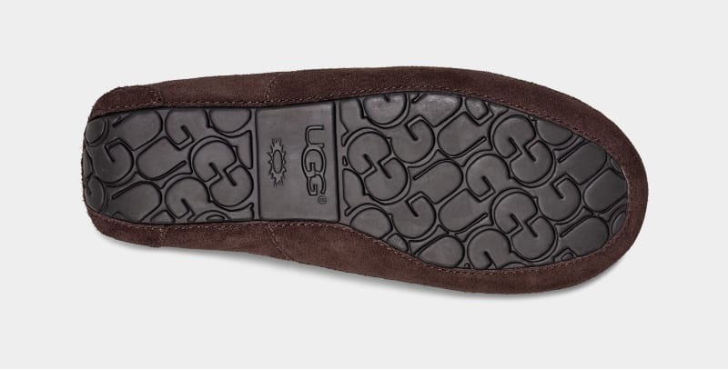 Brown Men's Ugg Ascot Slippers | India-1027843