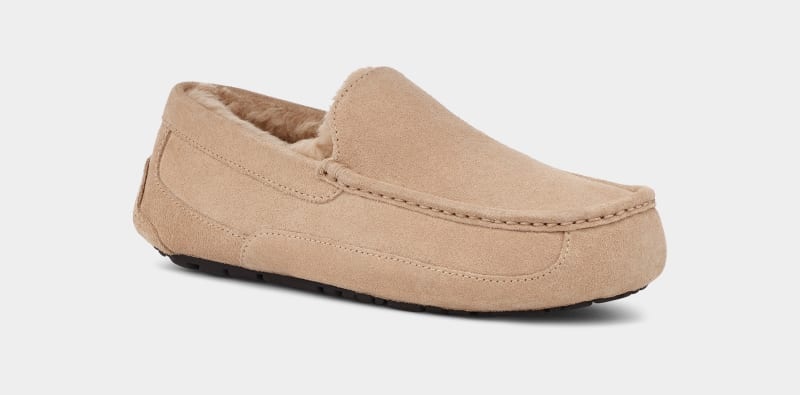 Brown Men's Ugg Ascot Slippers | India-2970418