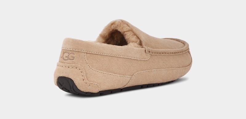 Brown Men's Ugg Ascot Slippers | India-2970418