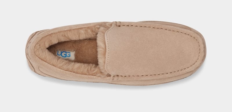 Brown Men's Ugg Ascot Slippers | India-2970418