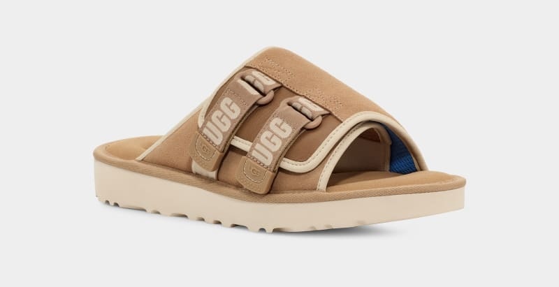 Brown Men's Ugg Goldencoast Strap Slides | India-5360429