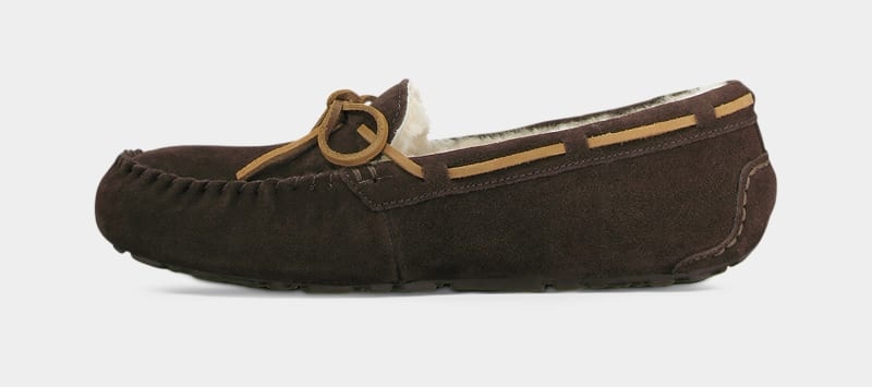 Brown Men's Ugg Olsen Slippers | India-0796152