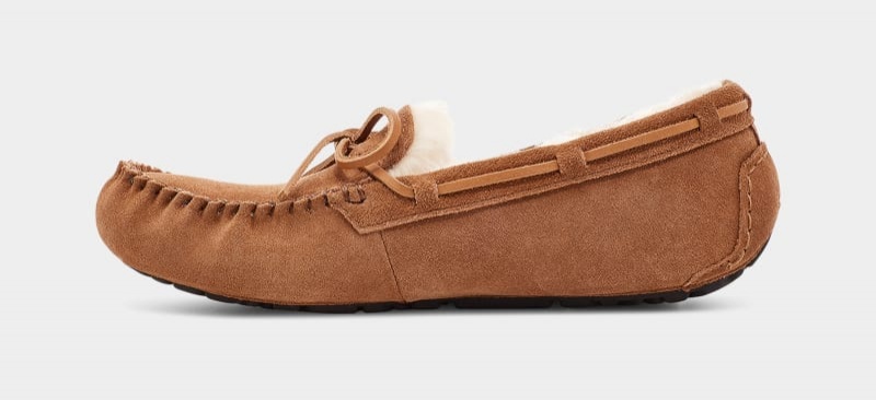 Brown Men's Ugg Olsen Slippers | India-7195463