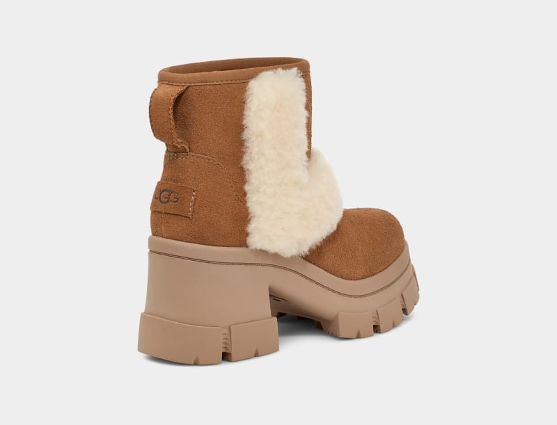 Brown Women's Ugg Brooklyn Sunburst Winter Boots | India-6071832