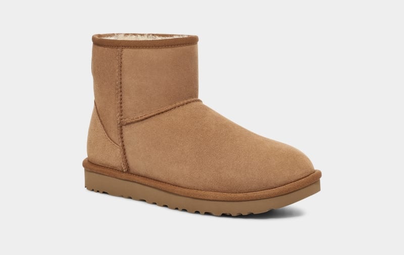 Brown Women's Ugg Classic Mini Regenerate Boots | India-1709635