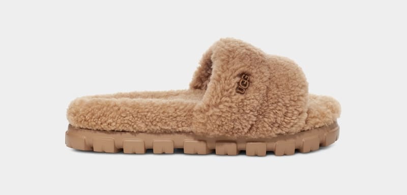 Brown Women\'s Ugg Cozetta Curly Slippers | India-2369075