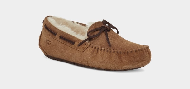 Brown Women's Ugg Dakota Moccasins | India-1678590