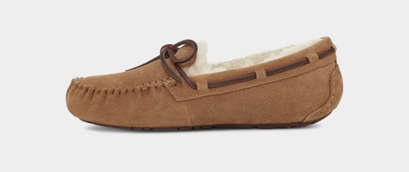 Brown Women's Ugg Dakota Moccasins | India-1678590