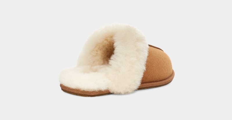 Brown Women's Ugg Scuffette Ii Regenerate Slippers | India-0352198