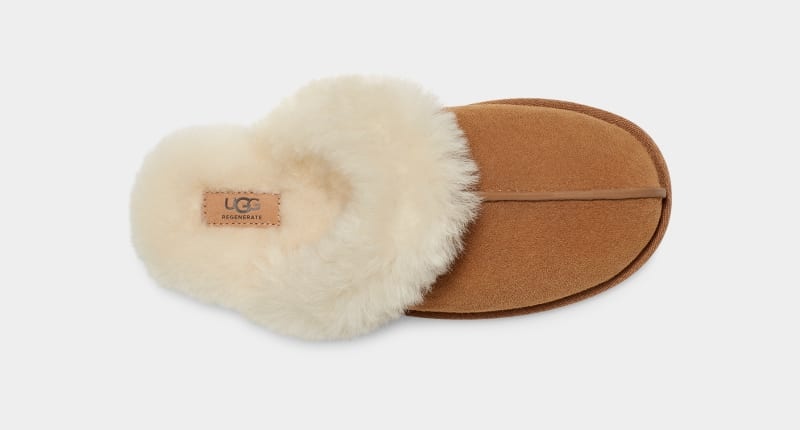 Brown Women's Ugg Scuffette Ii Regenerate Slippers | India-0352198