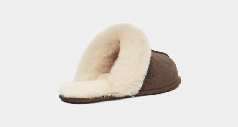 Brown Women's Ugg Scuffette Ii Slippers | India-9274108