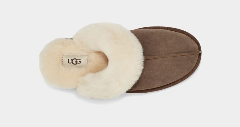 Brown Women's Ugg Scuffette Ii Slippers | India-9274108