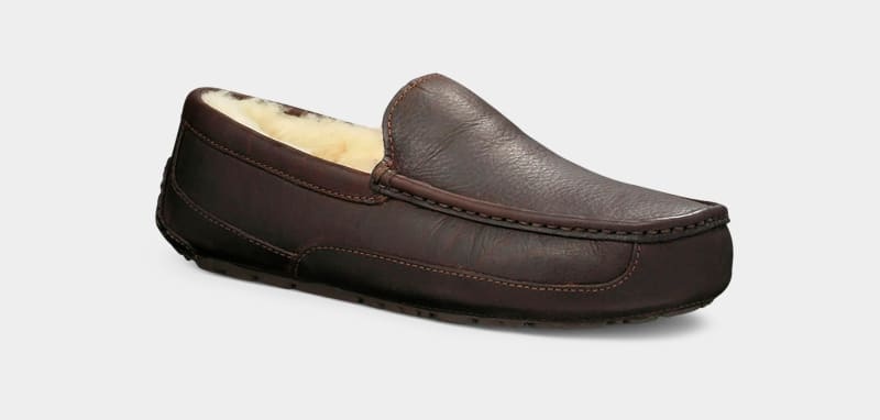 Dark Brown Men's Ugg Ascot Leather Slippers | India-6135907