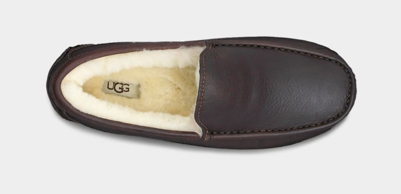 Dark Brown Men's Ugg Ascot Leather Slippers | India-6135907