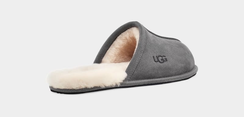 Dark Grey Men's Ugg Scuff Slippers | India-7054138