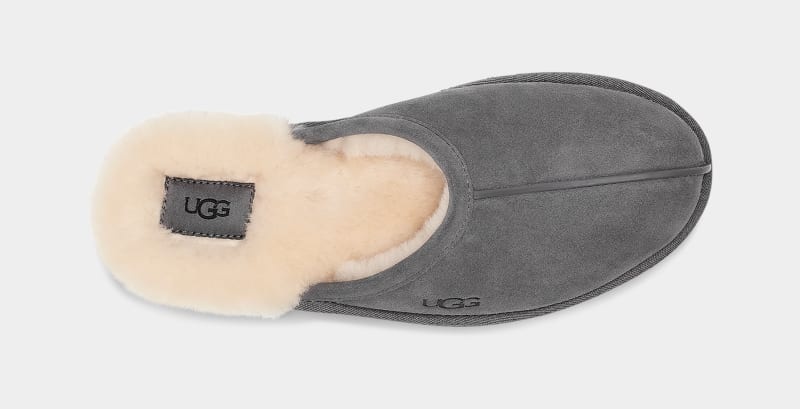 Dark Grey Men's Ugg Scuff Slippers | India-7054138