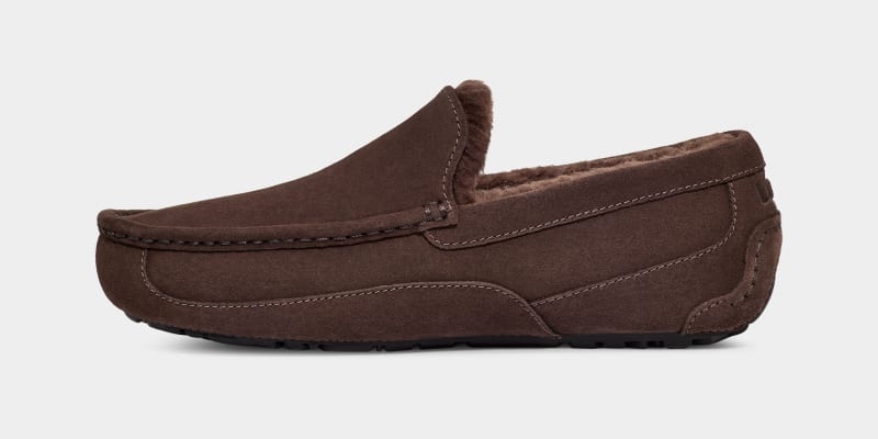 Deep Brown Men's Ugg Ascot Slippers | India-7109824