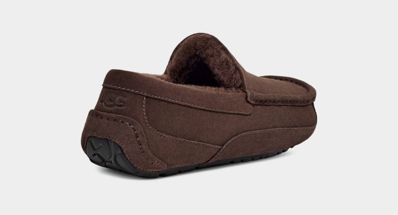 Deep Brown Men's Ugg Ascot Slippers | India-7109824