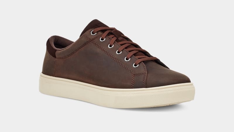 Deep Brown Men's Ugg Baysider Low Weather Sneakers | India-8905463