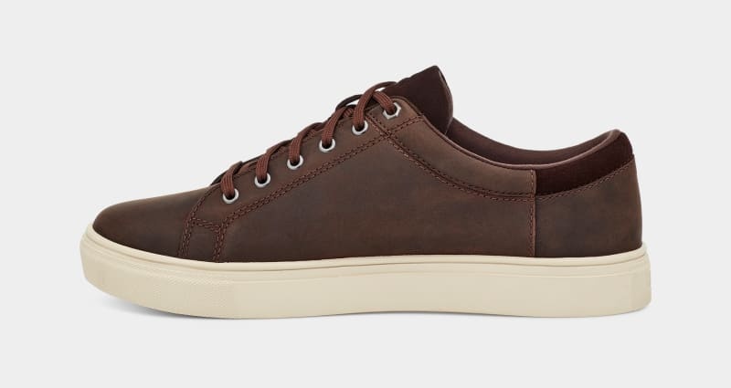 Deep Brown Men's Ugg Baysider Low Weather Sneakers | India-8905463