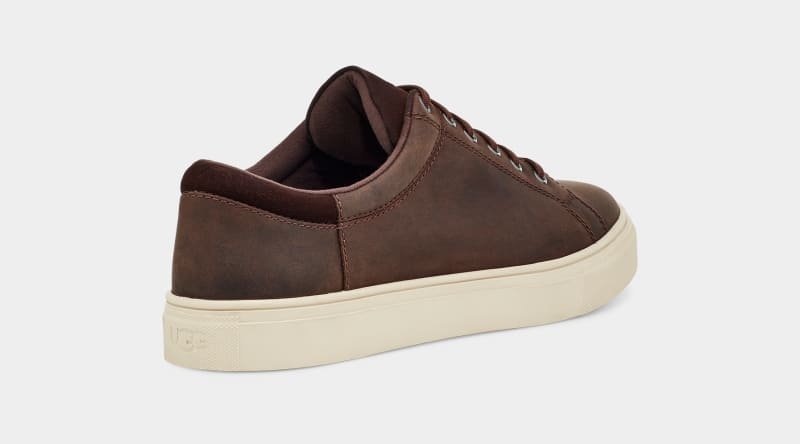 Deep Brown Men's Ugg Baysider Low Weather Sneakers | India-8905463