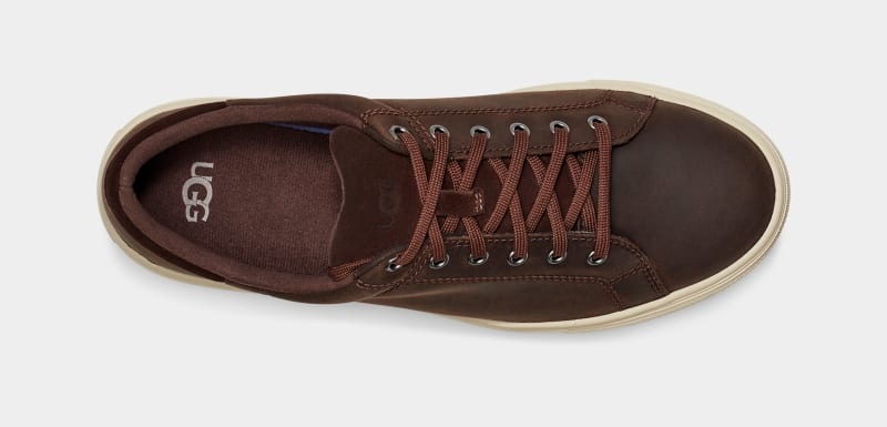 Deep Brown Men's Ugg Baysider Low Weather Sneakers | India-8905463