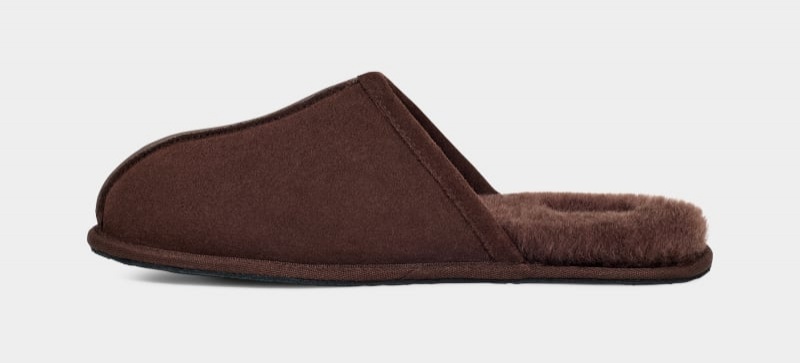 Deep Brown Men's Ugg Scuff Slippers | India-8524139