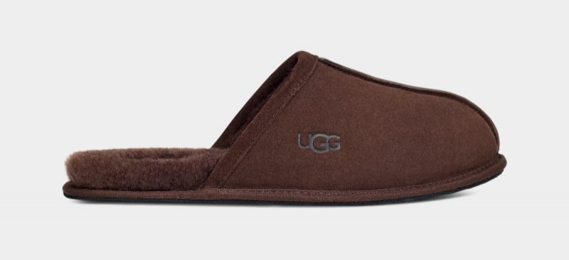 Deep Brown Men\'s Ugg Scuff Slippers | India-8524139