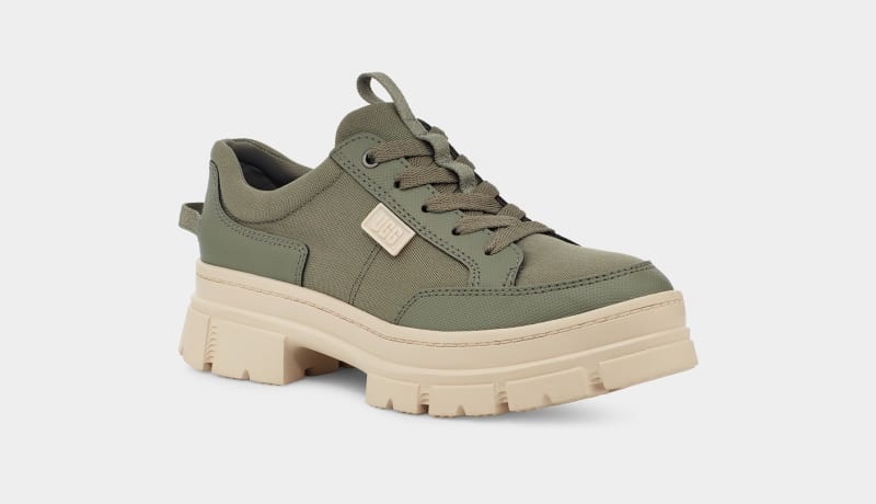 Green Women's Ugg Ashton Hybrid Sneakers | India-0741283