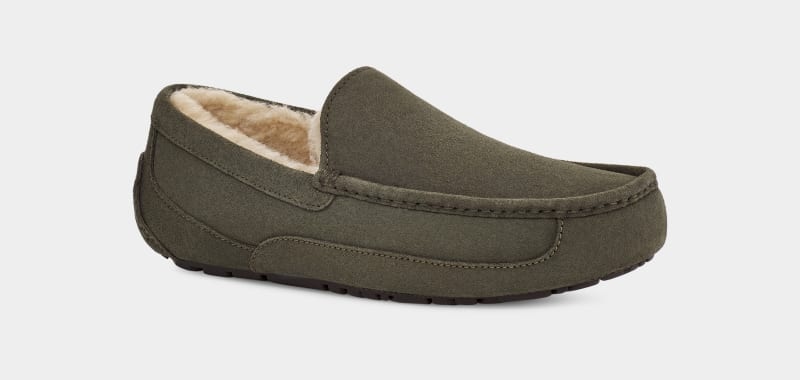 Khaki Men's Ugg Ascot Slippers | India-4130258